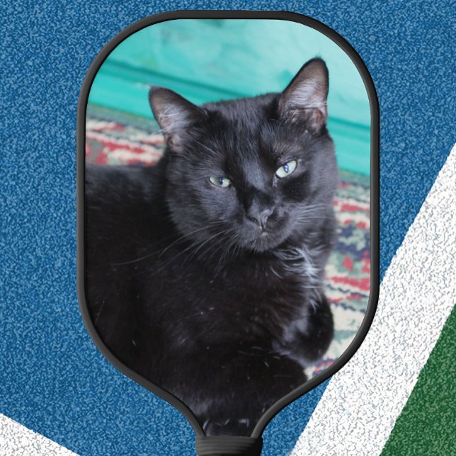 Créez Votre Propre Raquette De Pickleball Avec Pho (Créateur téléchargé)