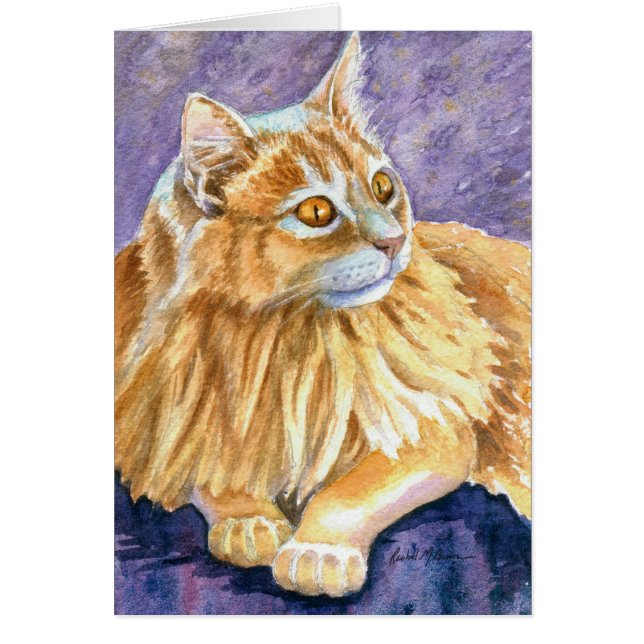 Crème Angora Chat (Devant)