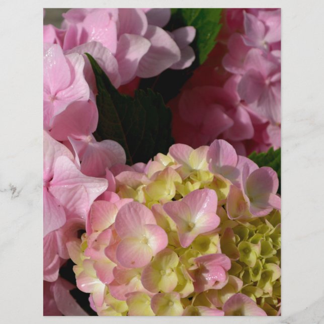 Crème rose Hydrangeas jaune rose vert floral (Devant)