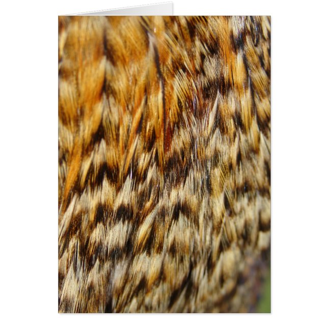 Creole chicken Feathers (Devant)