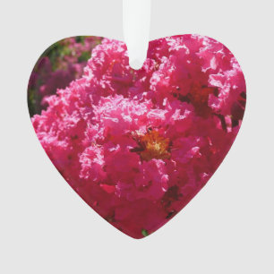 Crepe Myrtle Tree Magenta Floral