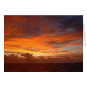 Crépuscule toute la carte d'occasion