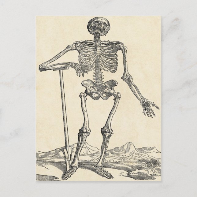 Creusé sa propre carte postale Grave (Devant)