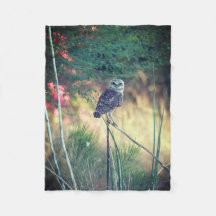 Creuser la petite couverture d'ouatine de hibou