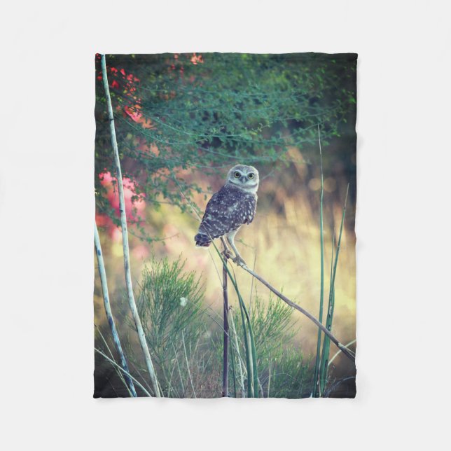 Creuser la petite couverture d'ouatine de hibou (Devant)