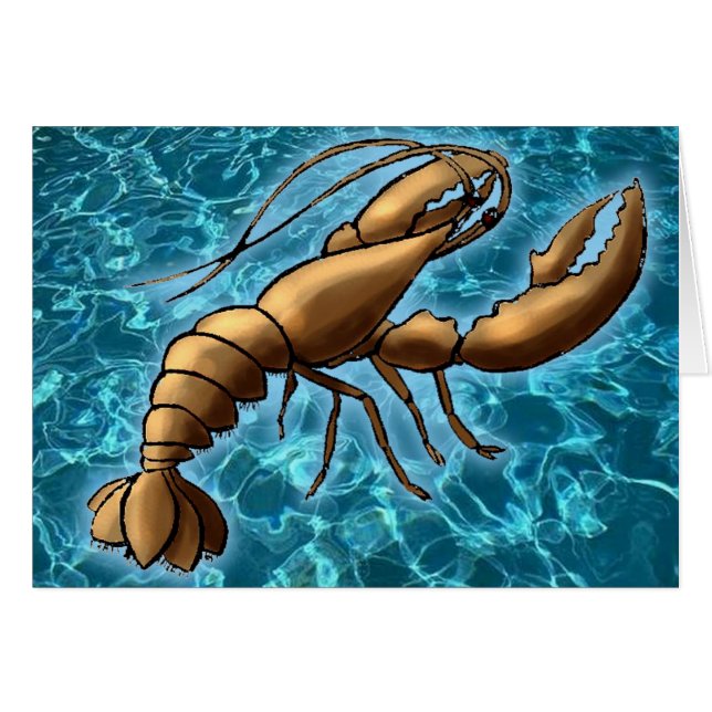 Crevette (Devant horizontal)