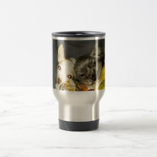 Cricket et tasse de Maybelline