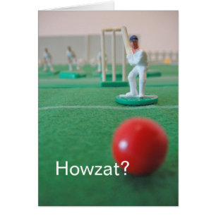 Cricket 'Howzat ? '