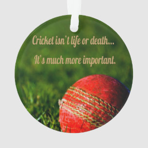 Cricket Red Ball drôle Motivation