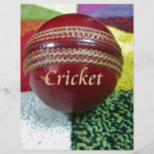 Cricket : Red Hard Ball Art Print
