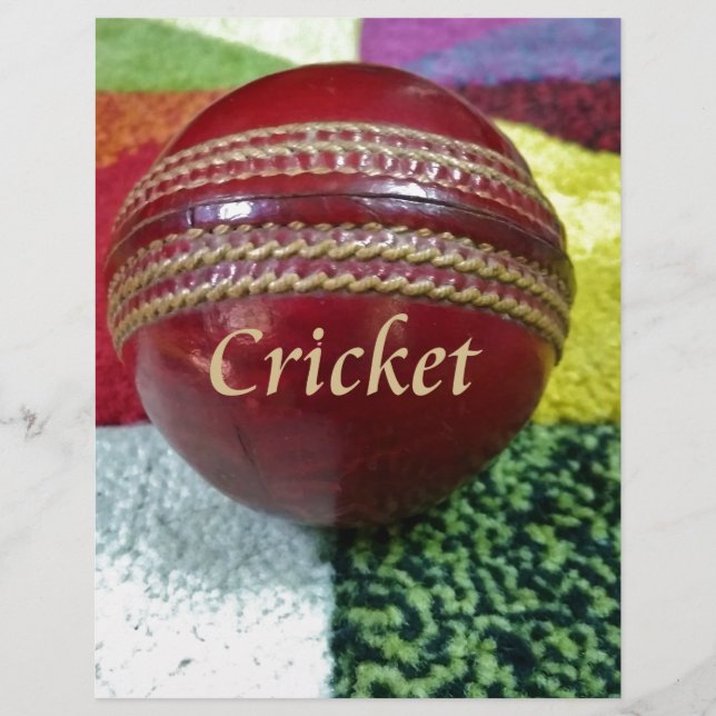 Cricket : Red Hard Ball Art Print (Devant)