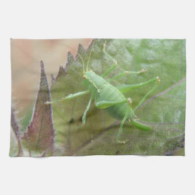 Cricket vert sur une serviette de cuisine feuille (Horizontal)
