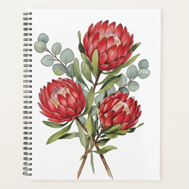 Crimson Protea Bouquet Watercolor (Devant)