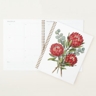 Crimson Protea Bouquet Watercolor