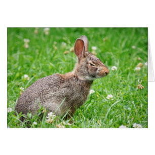 Cringe. Votre carte d'anniversaire m'a manqué