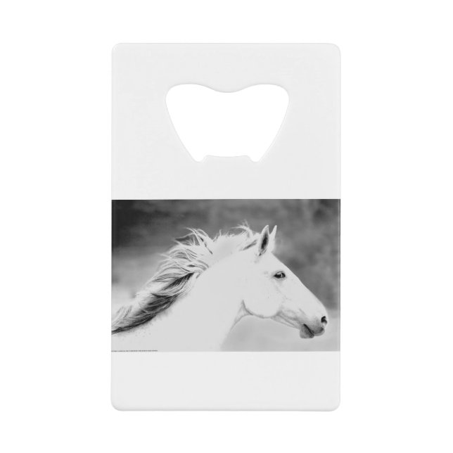 Crinière de LIN26BW dans le Wind.tif (Devant)