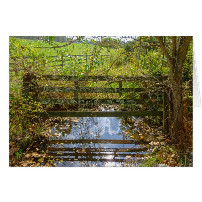 Crique cachée (Devant horizontal)