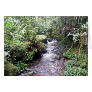 crique de kinabalu