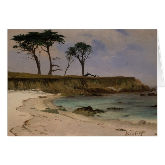 Crique de mer (Devant horizontal)