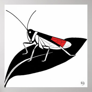 Criquet sur une feuille - Impression d'art d'archi