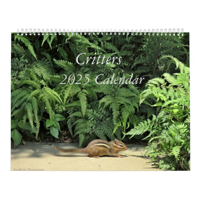 Critères Calendrier 2025 (Protection)