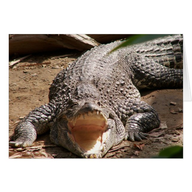 Croc Smile (Devant horizontal)