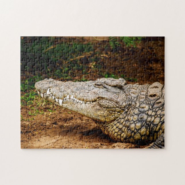 Crocodile du Nil, Puzzle de Jigsaw (Horizontal)