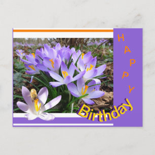 Crocus avec Bee Happy Anniversaire Carte postale