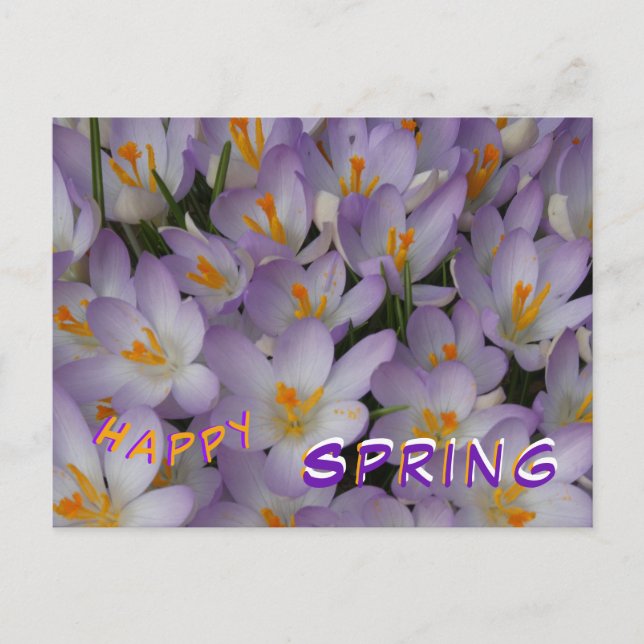 Crocus Flowers Motif Bonne Carte postale Printemps (Devant)