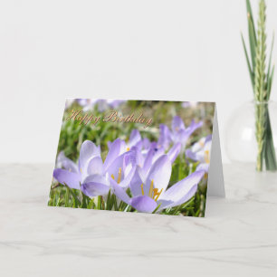 Crocus pourpre - Carte d'anniversaire -Personnalis