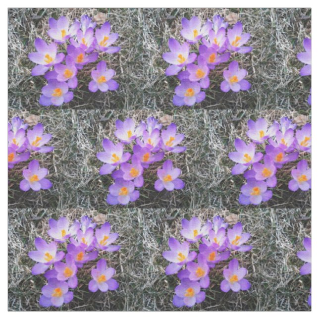 CROCUS PREMIERS SIGNES DE Tissu PRINTEMPS (Échantillon)