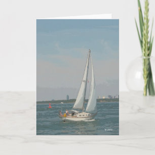 Croisière — carte blanche