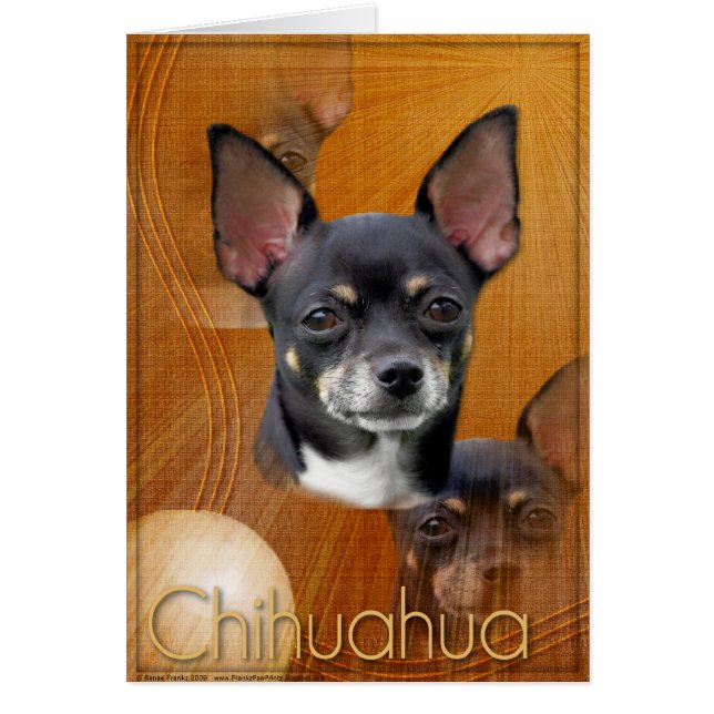 Croissant de lune - Isabella (Devant)