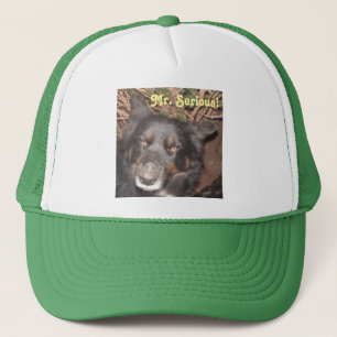 Croix du casquette Husky Collie