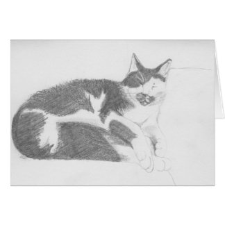 Croquis de chat de sommeil