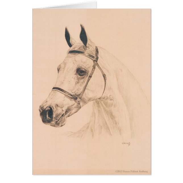 Croquis de cheval par Susan Pelisek Kolberg (Devant)