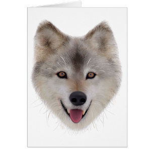 Croquis de loup de neige