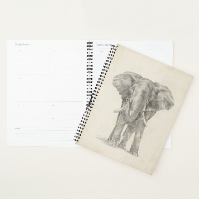 Croquis éléphant (Devant avec enveloppe)