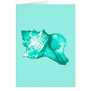 Croquis en coquille de conc - turquoise, blanche e
