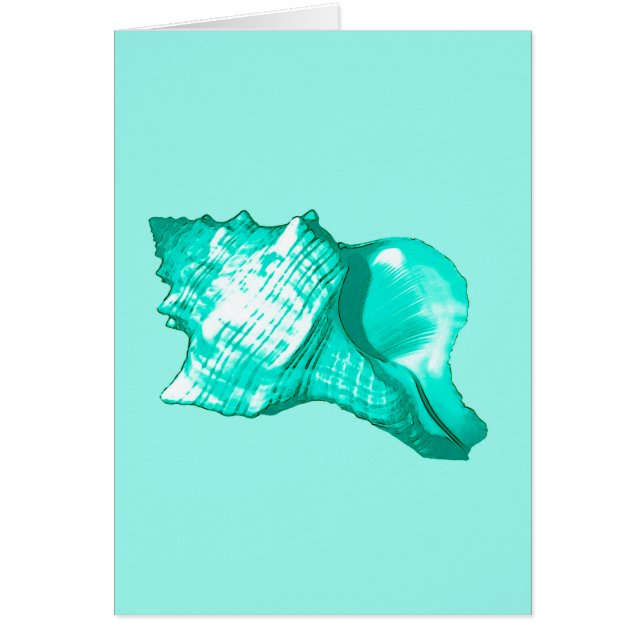 Croquis en coquille de conc - turquoise, blanche e (Devant)