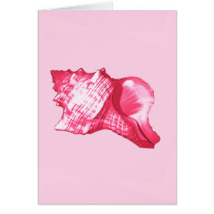 Croquis en coquille de conque - rose fuchsia et bl