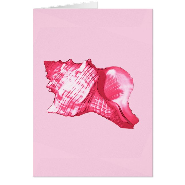 Croquis en coquille de conque - rose fuchsia et bl (Devant)
