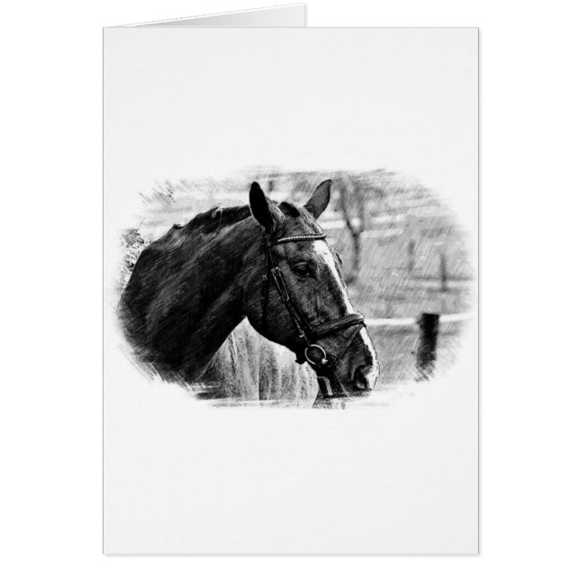 Croquis noir blanc (Devant)