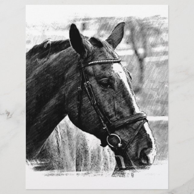 Croquis noir blanc (Devant)