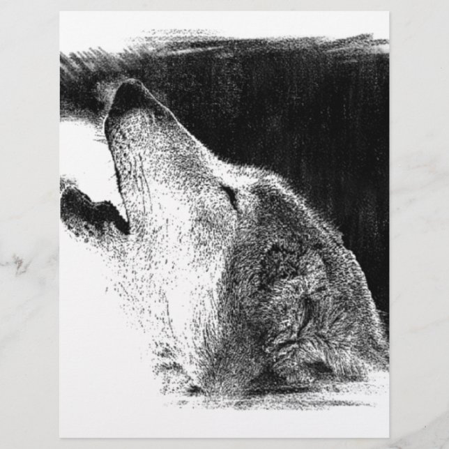 Croquis noir et blanc Loup gris (Devant)