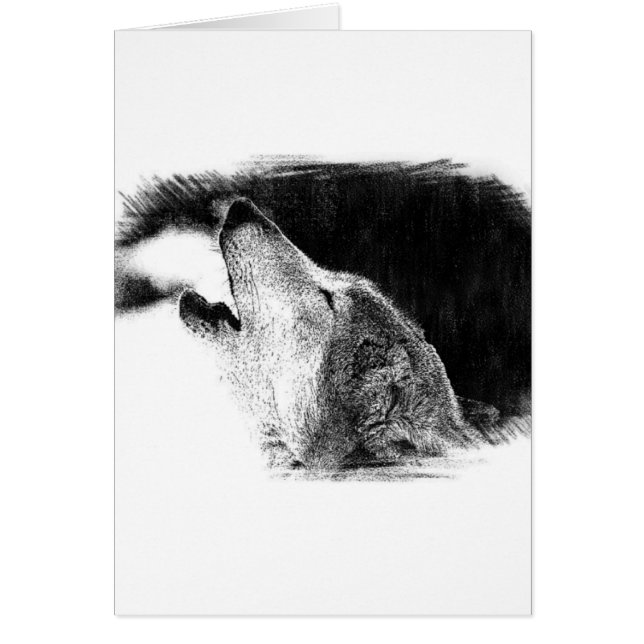 Croquis noir et blanc Loup gris (Devant)