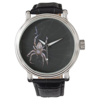 Cross Spider ~ montre