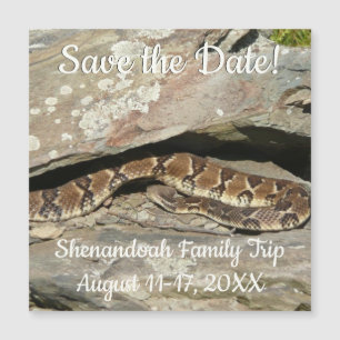 Crotale à Shenandoah National Park