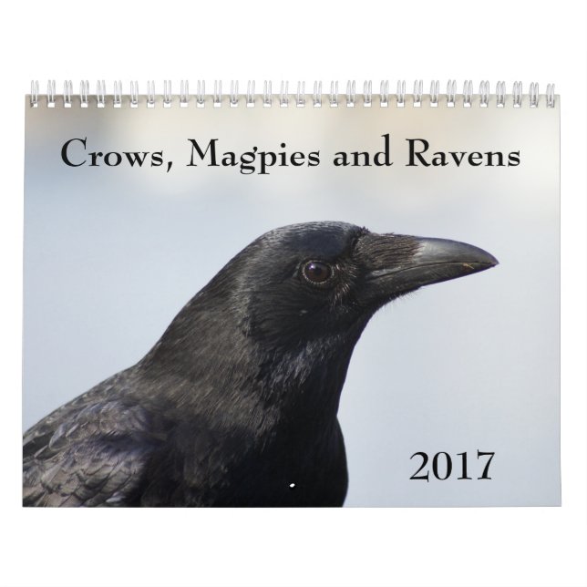 Crows, Magpies et Ravens Calendrier 2017 (Protection)
