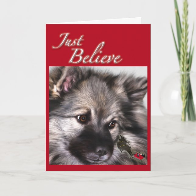 "Croyez juste" la carte de Noël de Keeshond (Devant)